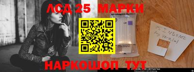 спиды Канаш