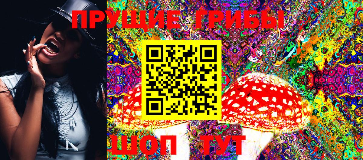 Улан-Удэ  Псилоцибиновые грибы MAGIC MUSHROOMS  Вход с VPN 